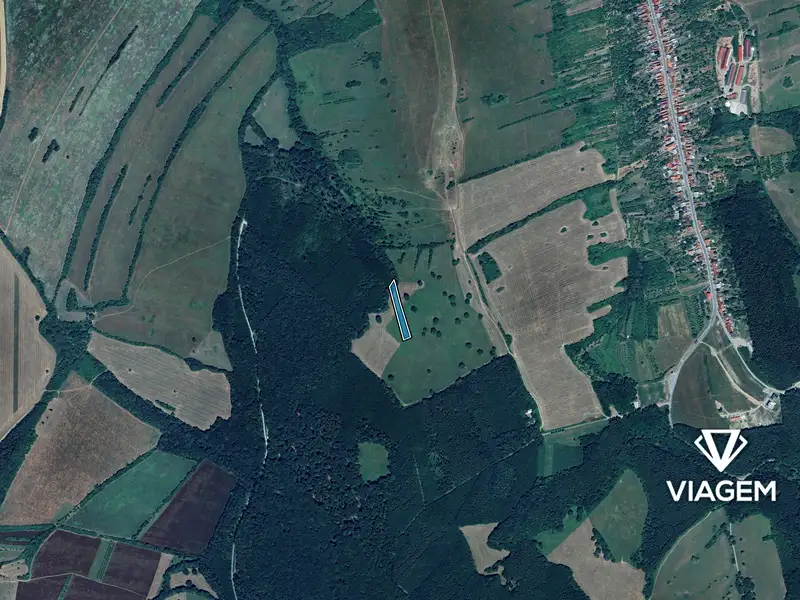 Prodej pole 4062 m², Suchov – náhled fotky 3