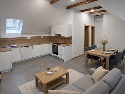 Pronájem bytu 3+kk 57 m² (Jednopodlažní)