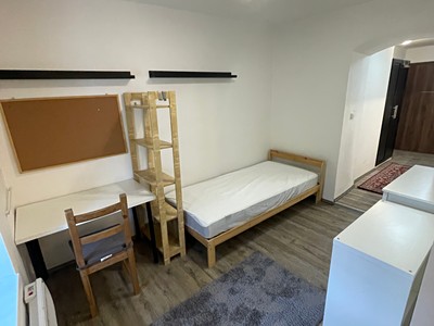 Pronájem bytu 1+kk 17 m² (Jednopodlažní)