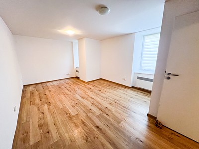 Pronájem bytu 1+1 36 m² (Jednopodlažní)