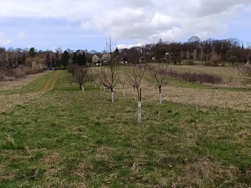 Prodej zahrady 899 m², Uherský Brod – náhled fotky 3