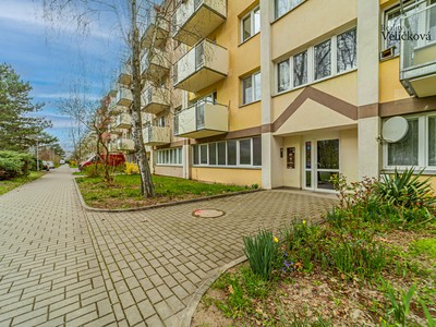 Prodej bytu 4+1 76 m² (Jednopodlažní)