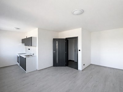 Pronájem bytu 1+kk 25 m²