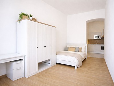 Pronájem bytu 1+1 31 m²