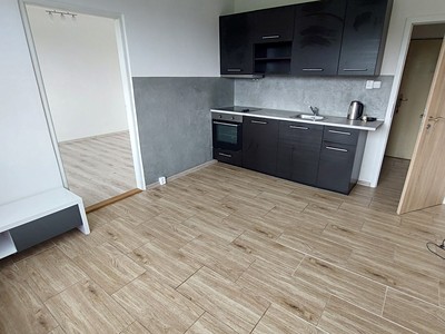 Pronájem bytu 1+1 36 m² (Jednopodlažní)