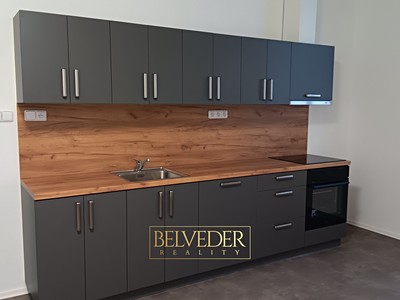 Pronájem bytu 3+kk 51 m²