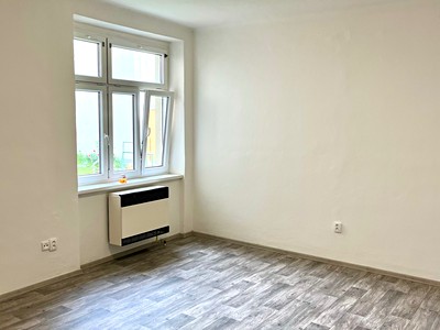 Prodej bytu 1+1 48 m² (Jednopodlažní)