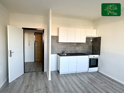 Prodej bytu 1+1 40 m²