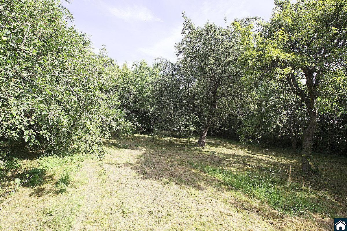Prodej rodinného domu 100 m², pozemek 2233 m² – fotografie 5