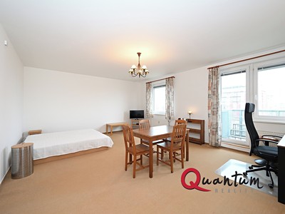 Pronájem bytu 1+kk 48 m²