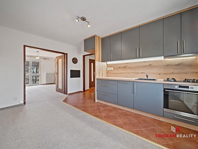 Prodej bytu 2+1 50 m² (Mezonet)