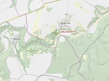 Dražba  lesa 64 m²