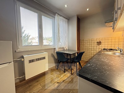 Pronájem bytu 1+1 43 m² (Jednopodlažní)