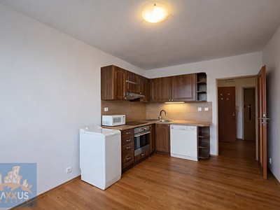 Pronájem bytu 2+kk 39 m² — photo 3