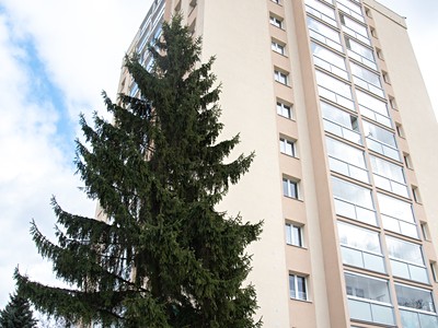 Prodej bytu 3+1 66 m² (Jednopodlažní)