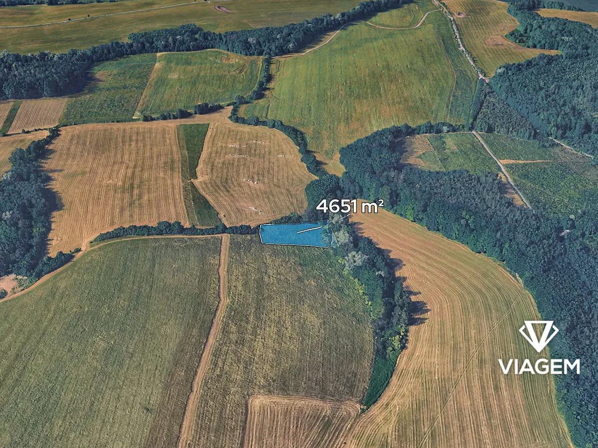 Prodej podílu 1/4 pole 1162 m²