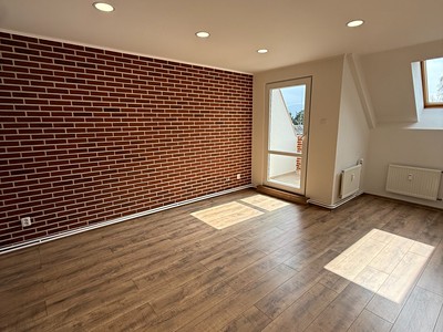 Prodej bytu 3+kk 42 m² (Jednopodlažní)