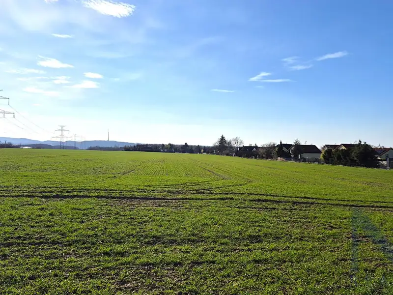 Prodej pole 6296 m², Ohrobec – náhled fotky 3