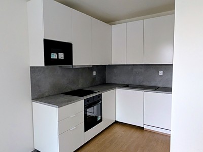 Pronájem bytu 1+kk 41 m² (Jednopodlažní)