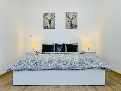 Pronájem bytu 2+1 56 m²