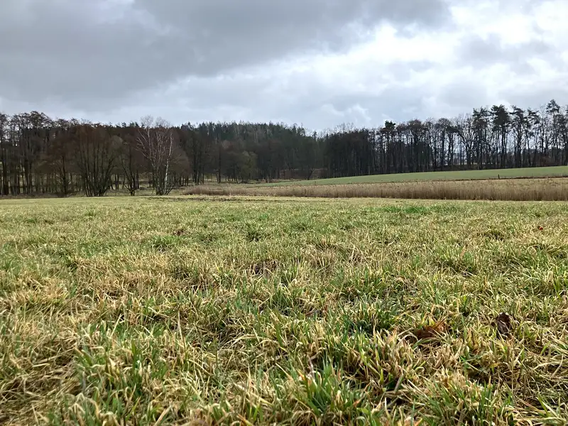 Prodej pole 124655 m², Dolní Město – náhled fotky 3