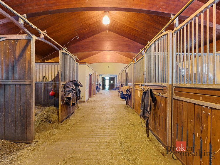 Immobilie zum Kauf, 2.093 m² (12 von 31)