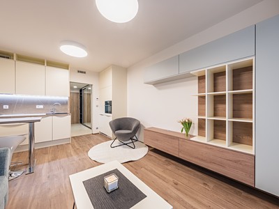Pronájem bytu 1+kk 39 m² (Jednopodlažní)