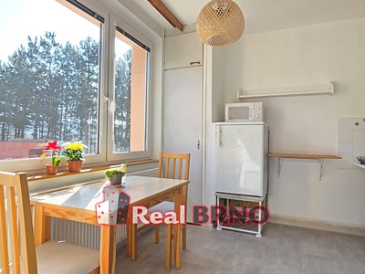 Pronájem bytu 1+1 33 m²