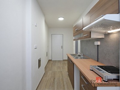 Pronájem bytu 3+kk 39 m² — photo 2