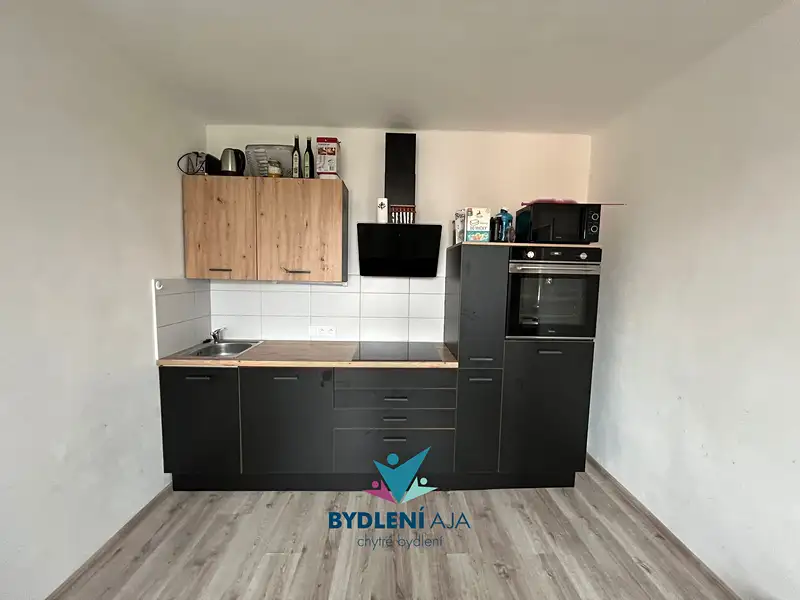 Prodej bytu 1+1 48 m², Teplice – náhled fotky 2
