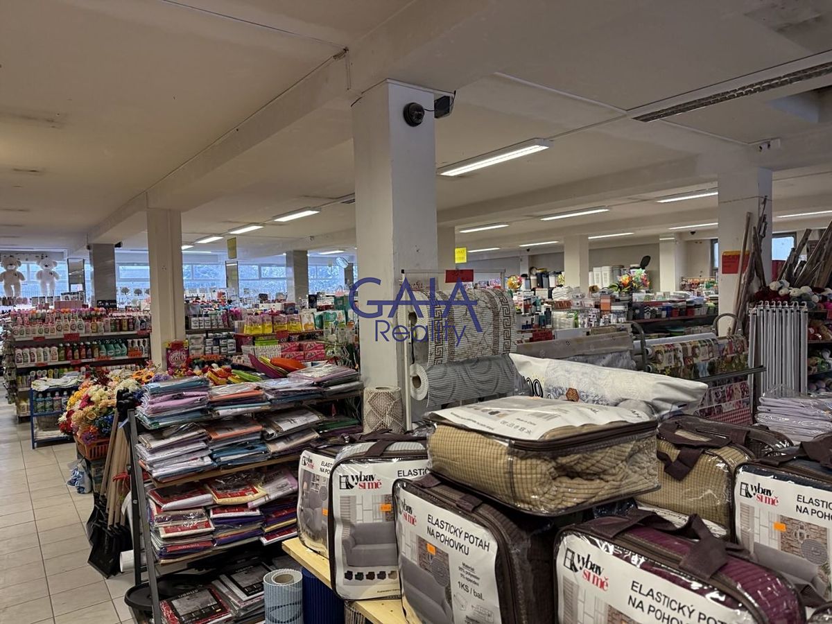 Prodej obchodního prostoru 2475 m² – fotografie 2