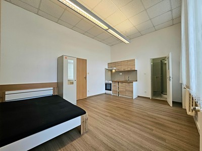 Pronájem bytu 1+kk 25 m² (Jednopodlažní)