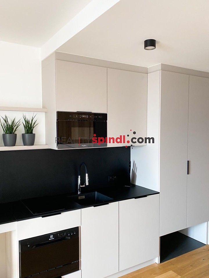 Pronájem bytu 1+kk 24 m² – fotografie 3