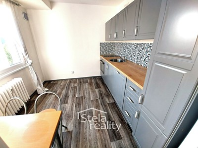 Pronájem bytu 1+1 42 m²