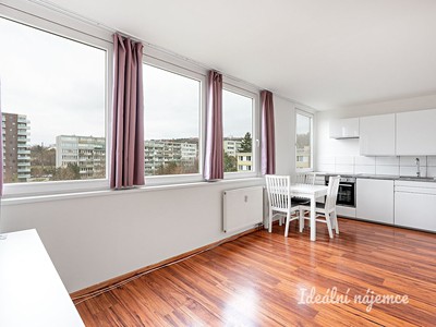 Pronájem bytu 1+kk 28 m²