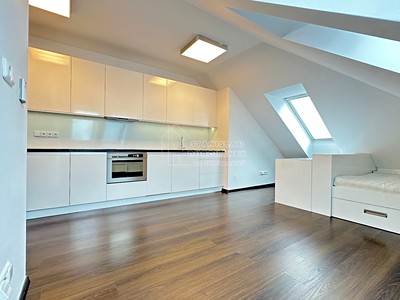 Pronájem bytu 1+kk 43 m² (Podkrovní)