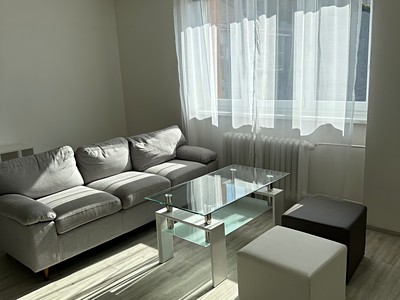 Pronájem bytu 1+1 42 m² (Jednopodlažní)