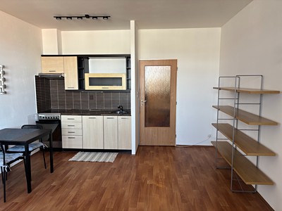 Pronájem bytu 1+kk 38 m²