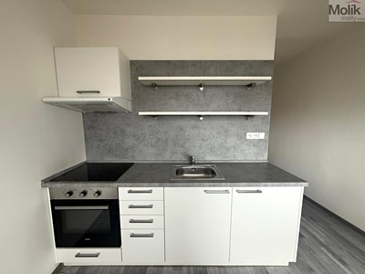 Pronájem bytu 1+1 37 m²