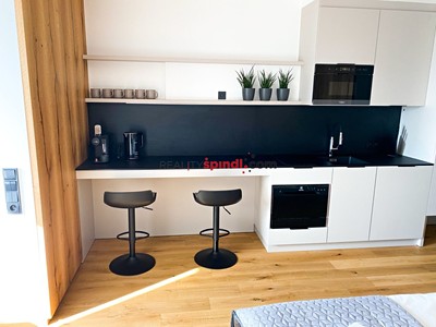 Квартира 1+kk в оренду, 24 м² (2 з 11)