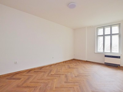 Pronájem bytu 1+1 36 m² (Jednopodlažní)