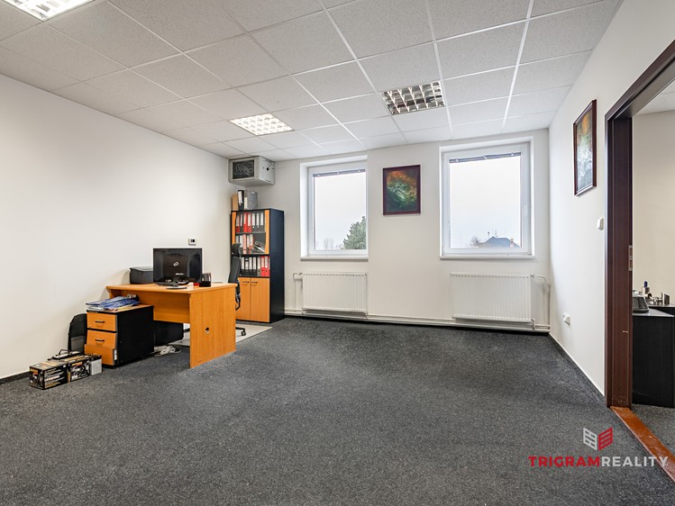 Комерційне приміщення в оренду, 243 м² (4 з 14)