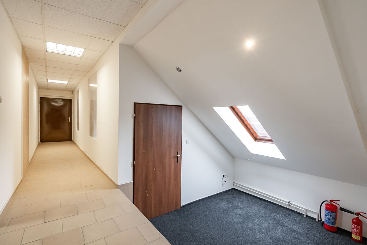 Pronájem kanceláře 243 m² – fotografie 3