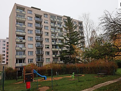 Pronájem bytu 1+1 30 m² (Jednopodlažní)