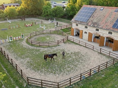 Prodej  rodinného domu 600 m², pozemek 4 000 m² — photo 4