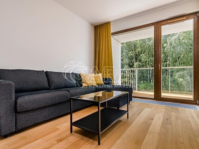 Pronájem bytu 2+kk 53 m²