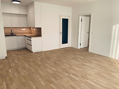 Pronájem bytu 2+kk 60 m² (Jednopodlažní)