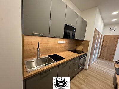 Pronájem bytu 2+kk 62 m² (Jednopodlažní)