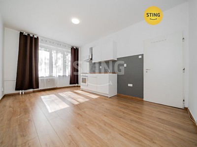 Pronájem bytu 1+kk 21 m²