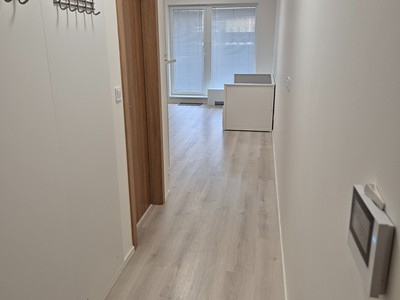 Pronájem bytu 1+kk 27 m² (Jednopodlažní)